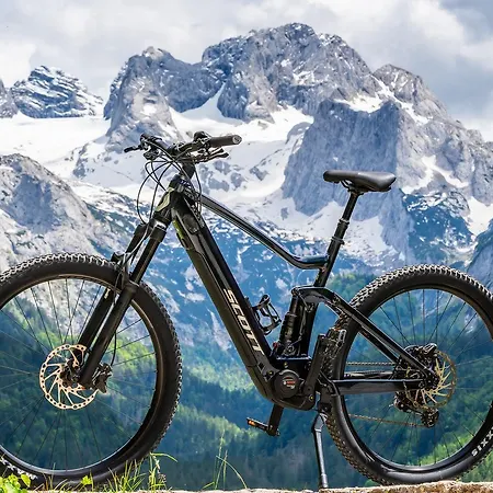 Gamsfeld Apartment Russbach am Pass Gschütt