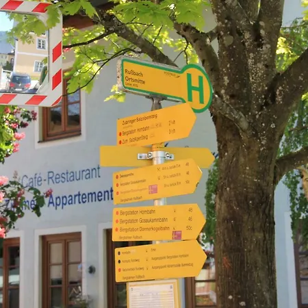 Daire Gamsfeld Russbach am Pass Gschütt